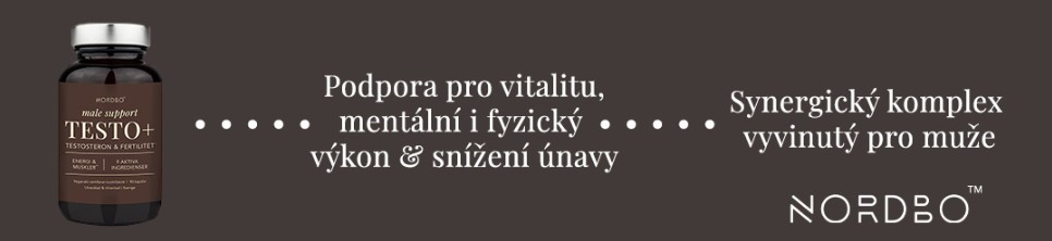 testo+ (1)